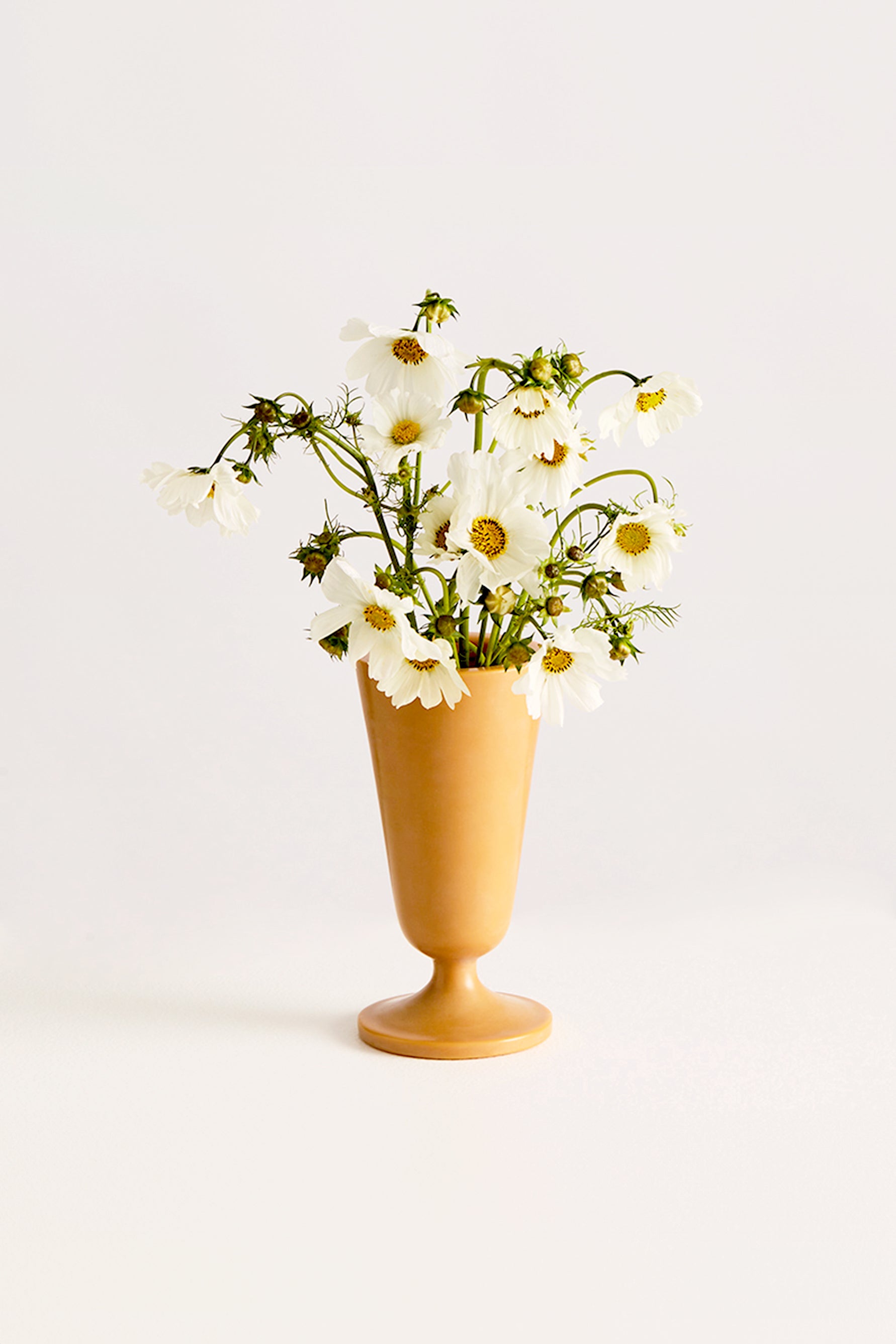 Maison Balzac - The Wax Vase · TINGKO SELECT
