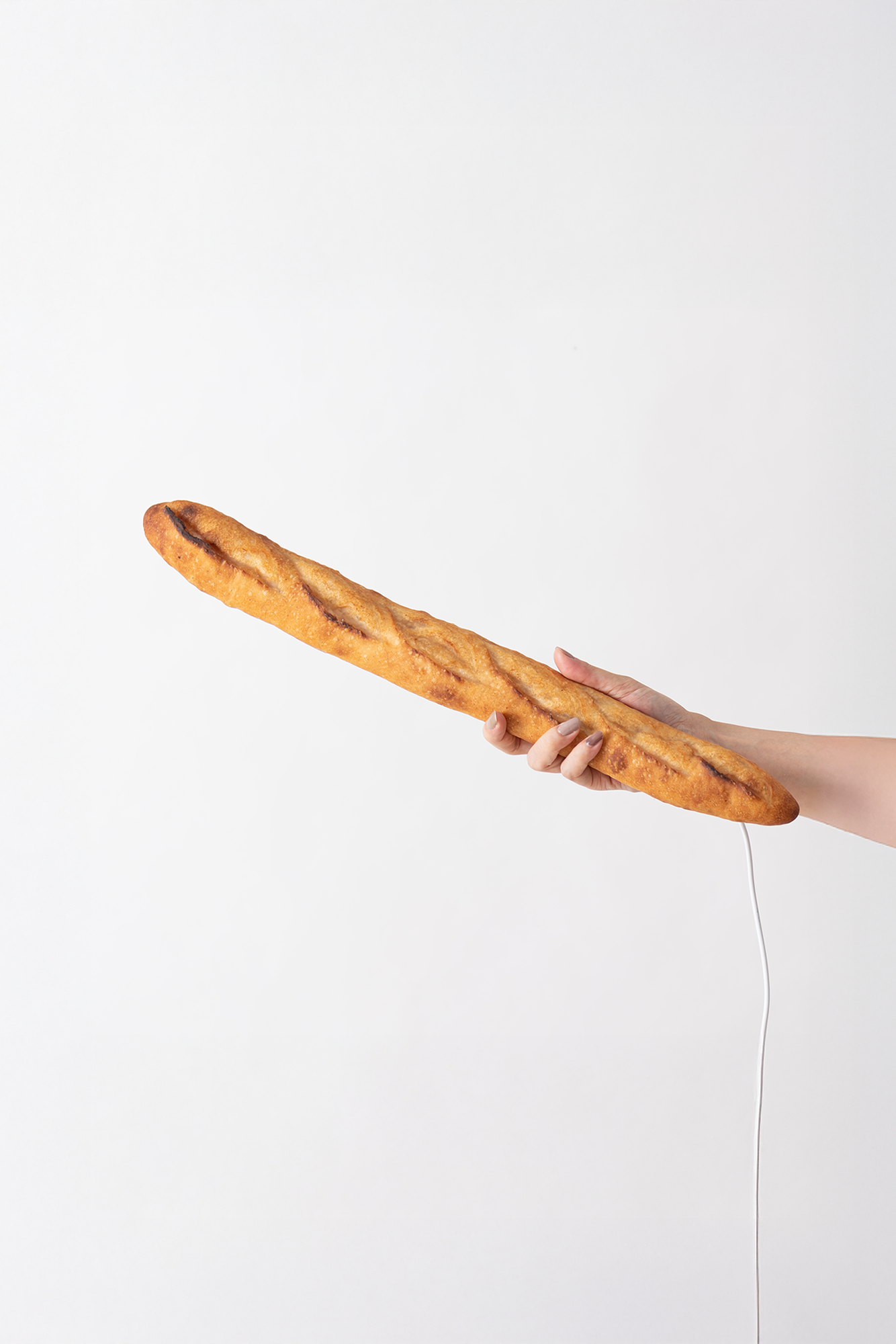 Baguette Bread Lamp (LED Light with AC Power Cord)